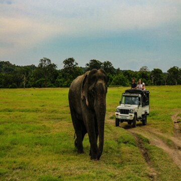 Guided journey across Sri Lanka