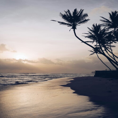 Ahangama beach break