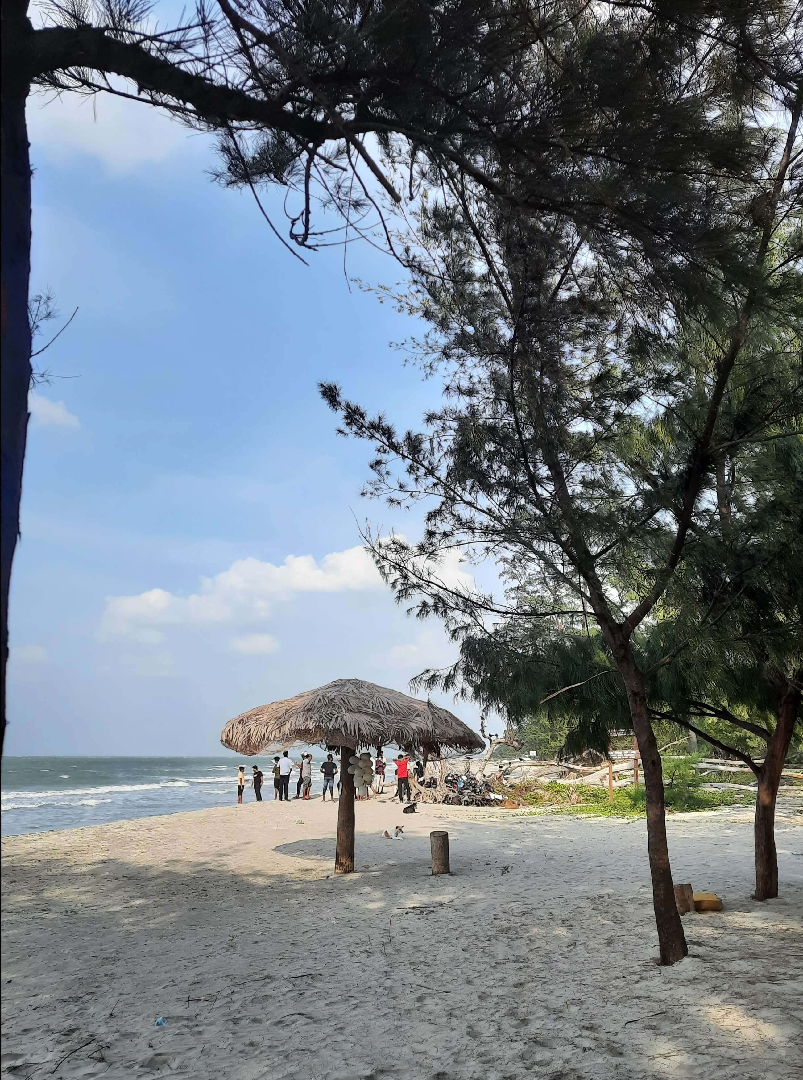 Casuarina Beach